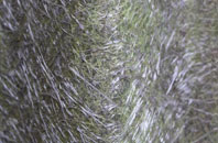 Chapels fibreglass roof work